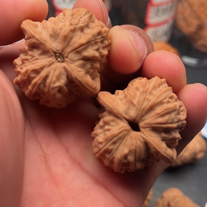 文玩核桃把件血麒麟37.8