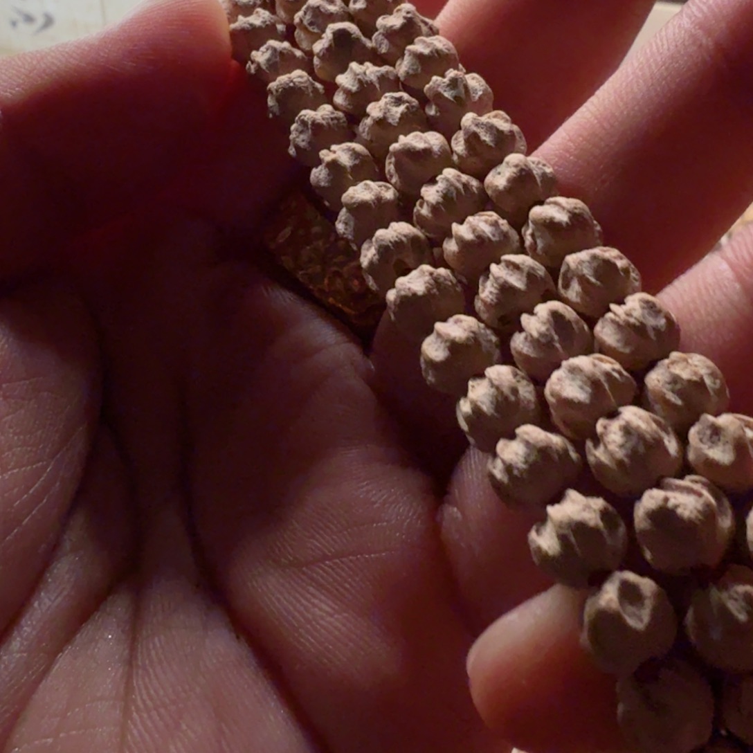 梁***运吊坠柏香籽/百香籽