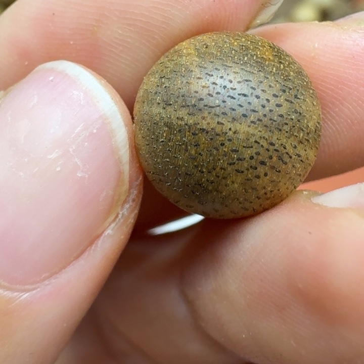 沉香碎屑沉香馨安居沉香88888