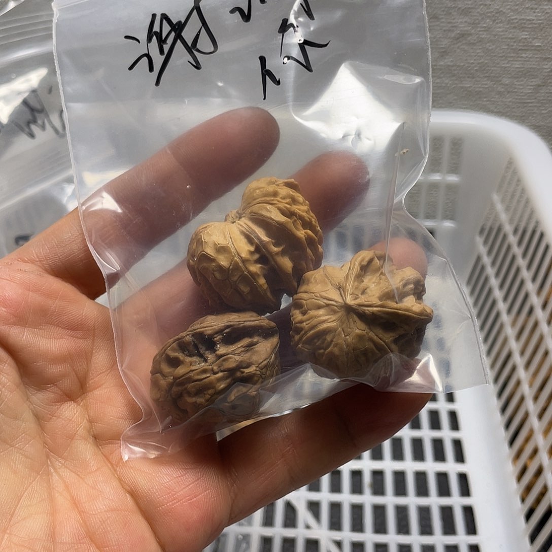 谢***行文玩核桃吊坠不退不换