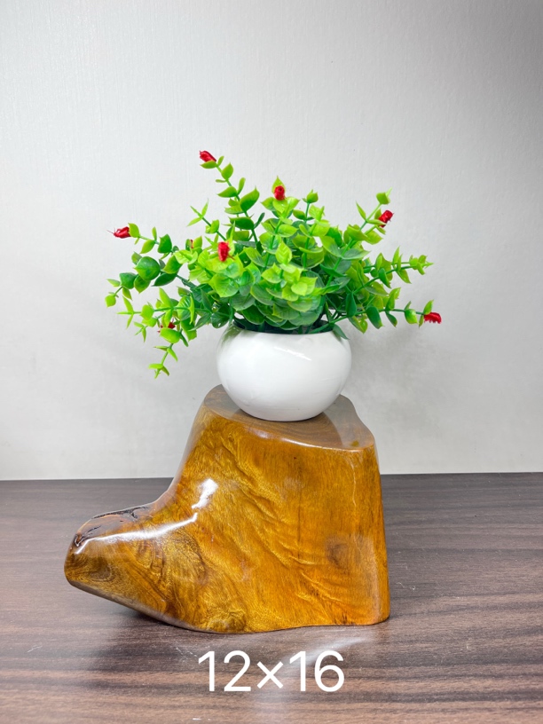 2小叶桢楠金丝楠木中式工艺品摆件 花架 茶托 墩子 底部可闻香