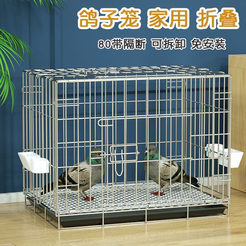 鸽子专用实木带灯展示笼带照明功能多款尺寸适合家用养殖繁殖