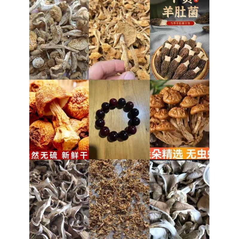 FD94 【归家串】高端品质   香菇菌子   现收山货
