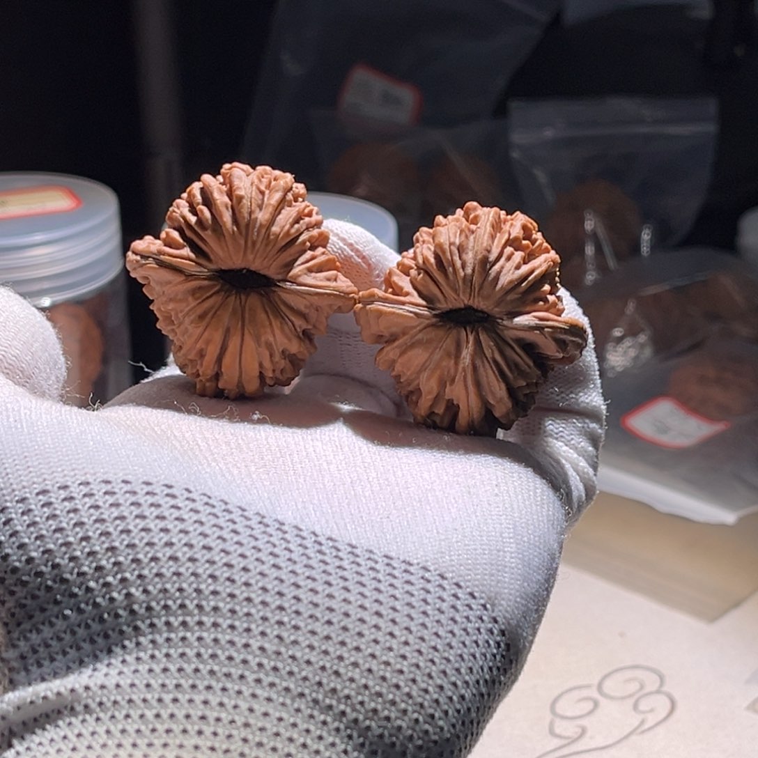 辉****楼子楼子楼子楼子。