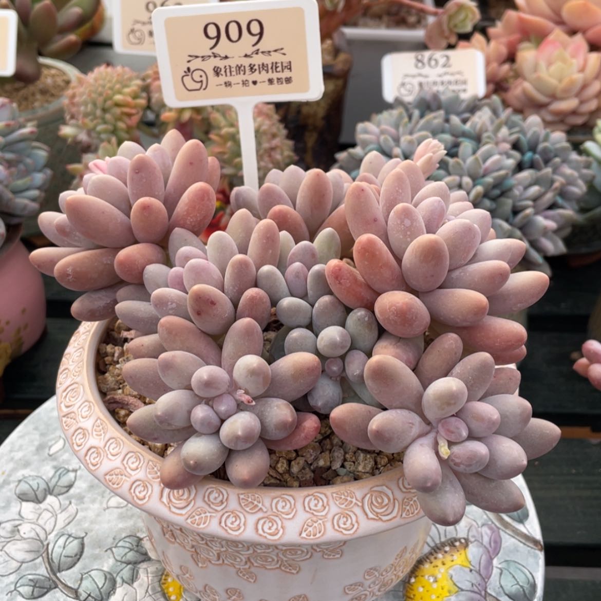 【闪购商品】汤圆909