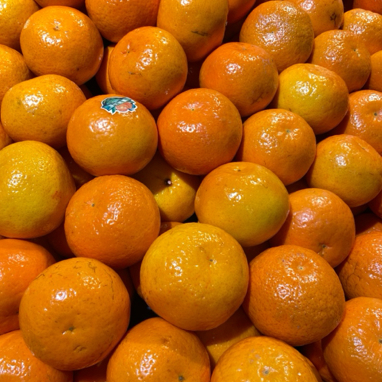 【新鲜实惠】沃柑1份（约1300-1500g）无核沃柑广西壮族自治区南宁市