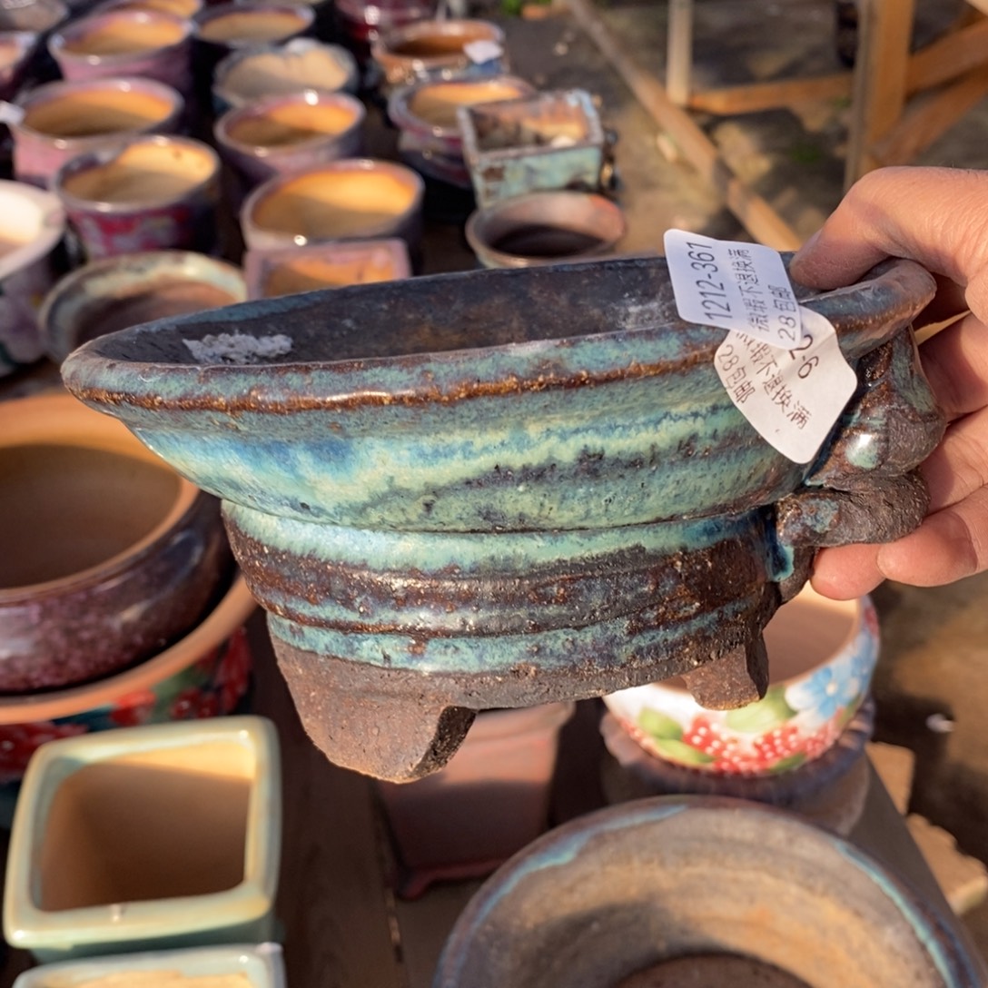 361号多肉盆口径16