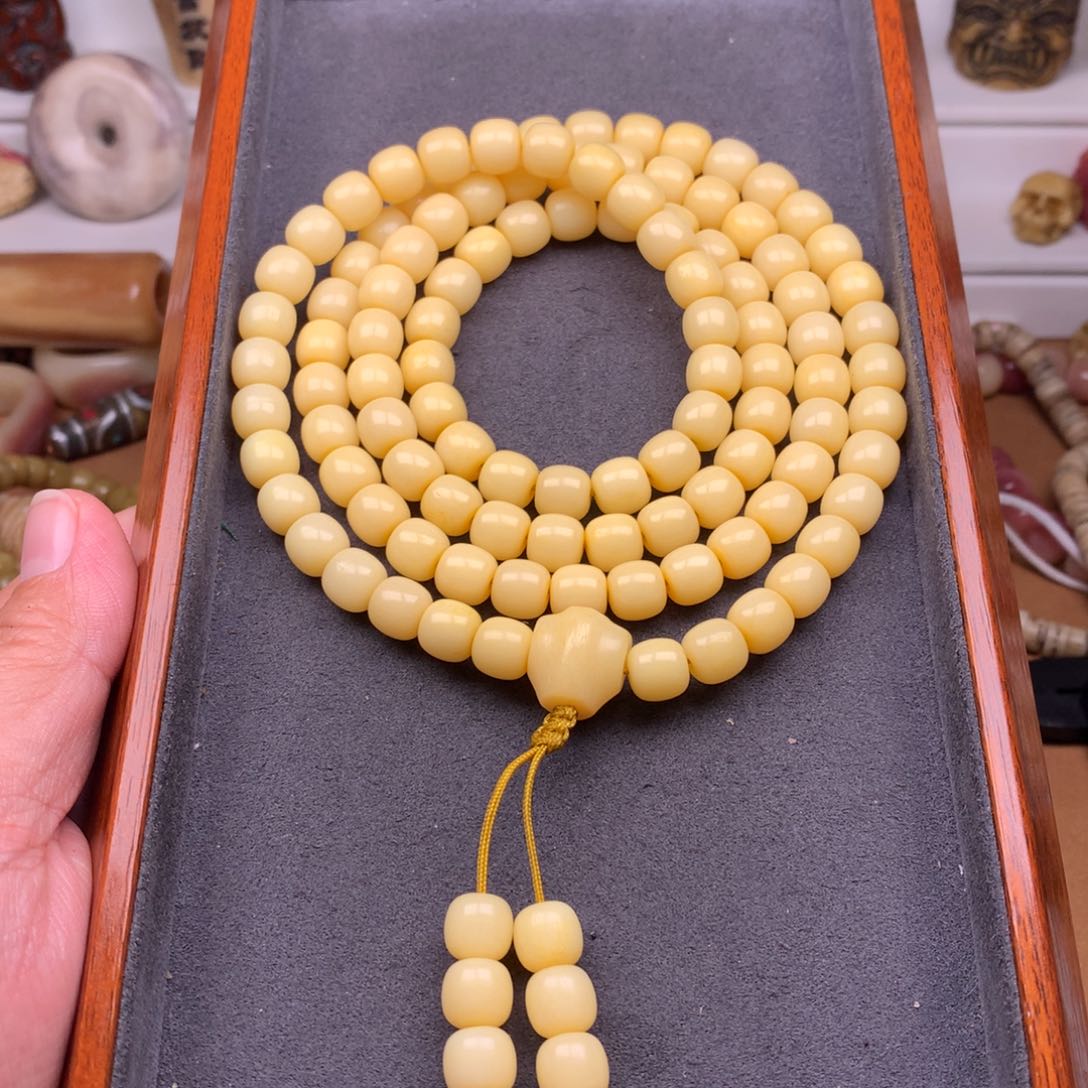 驼骨其他天天都在盘  9