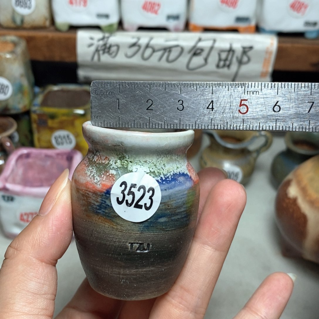 拍5送一个小礼物