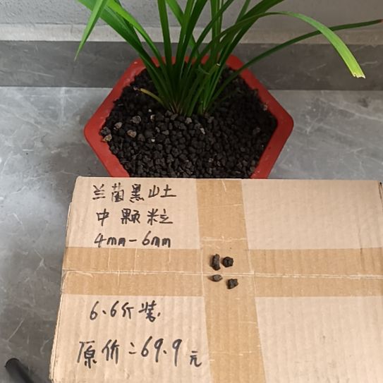 吴***家兰菌黑山土中颗粒6.6斤