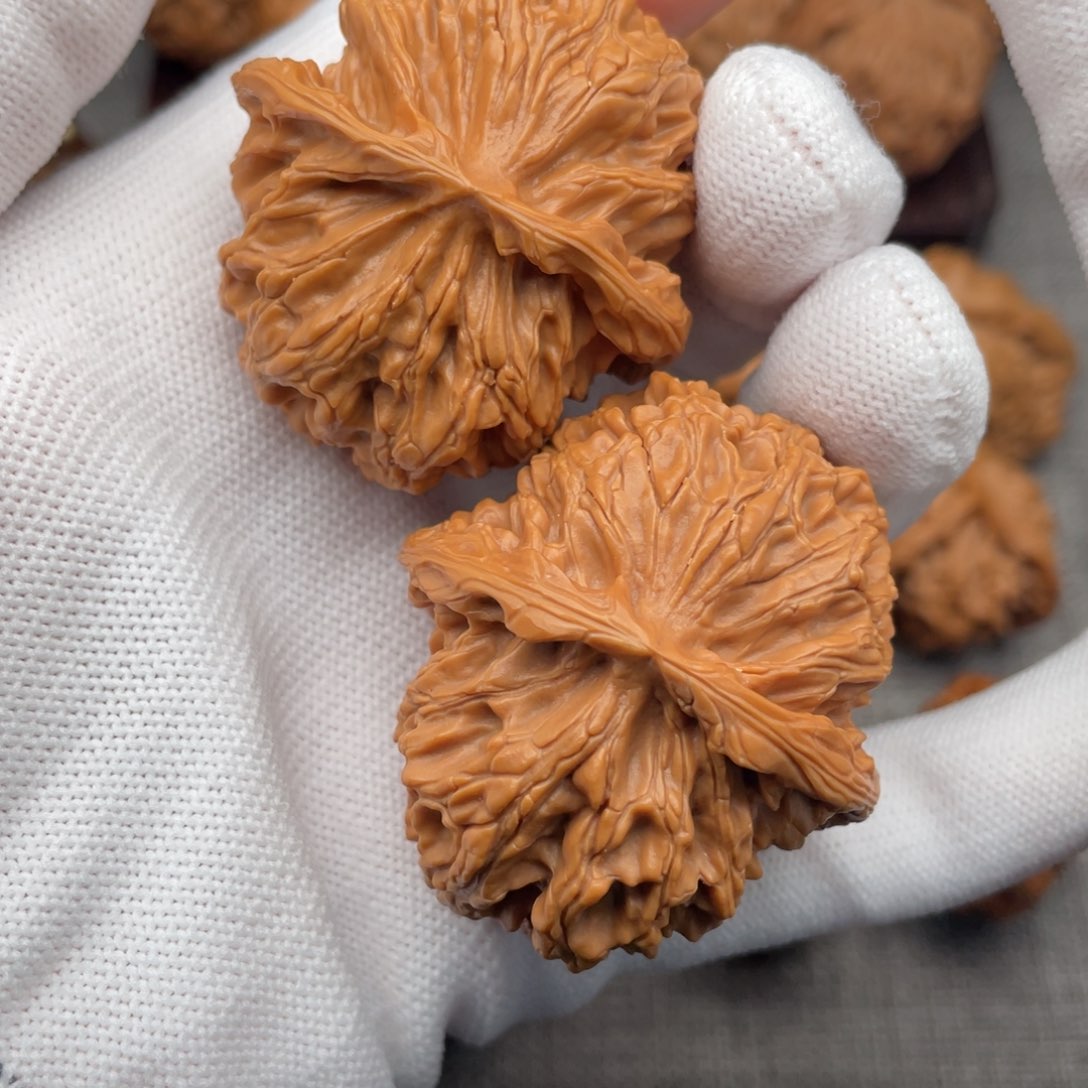 文玩核桃把件43老树大肚子苹果