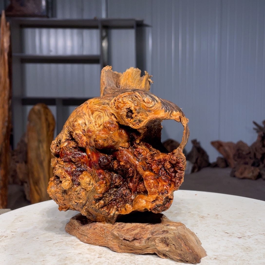 刚***！木猛子琥珀木摆件40