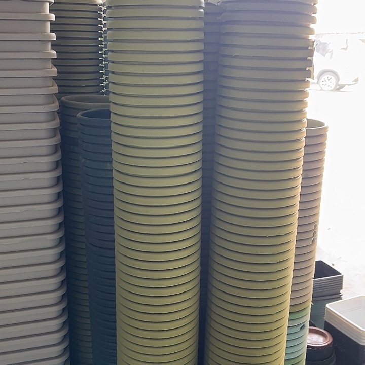 瑕疵四季盆2号果绿色发20个口径21高度18