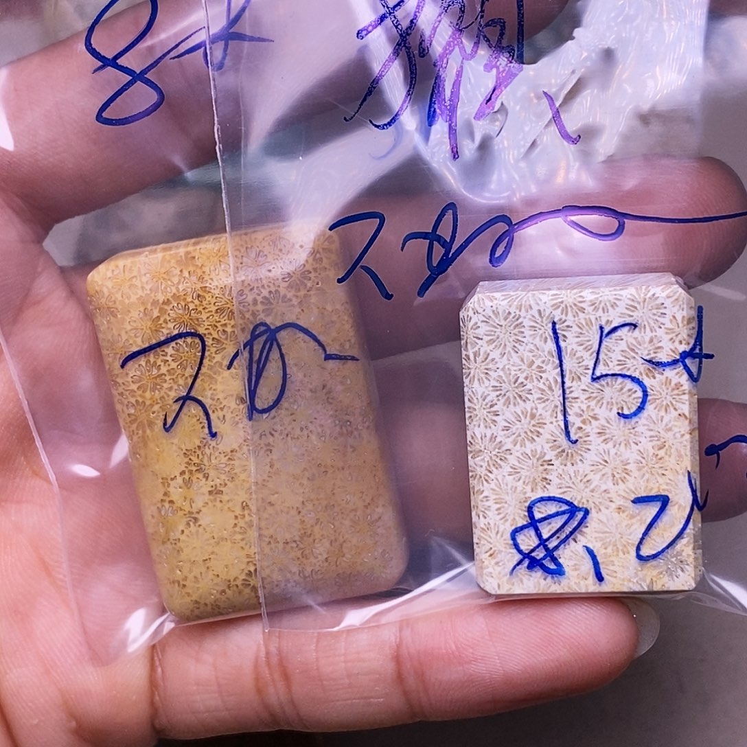 獺***鱼硅化玉合金珊瑚玉