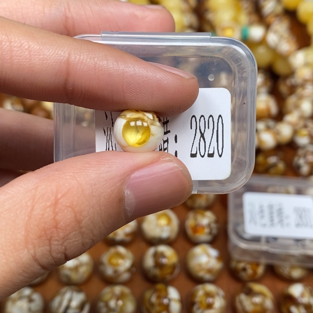 沁色蜜蜡未镶嵌2820