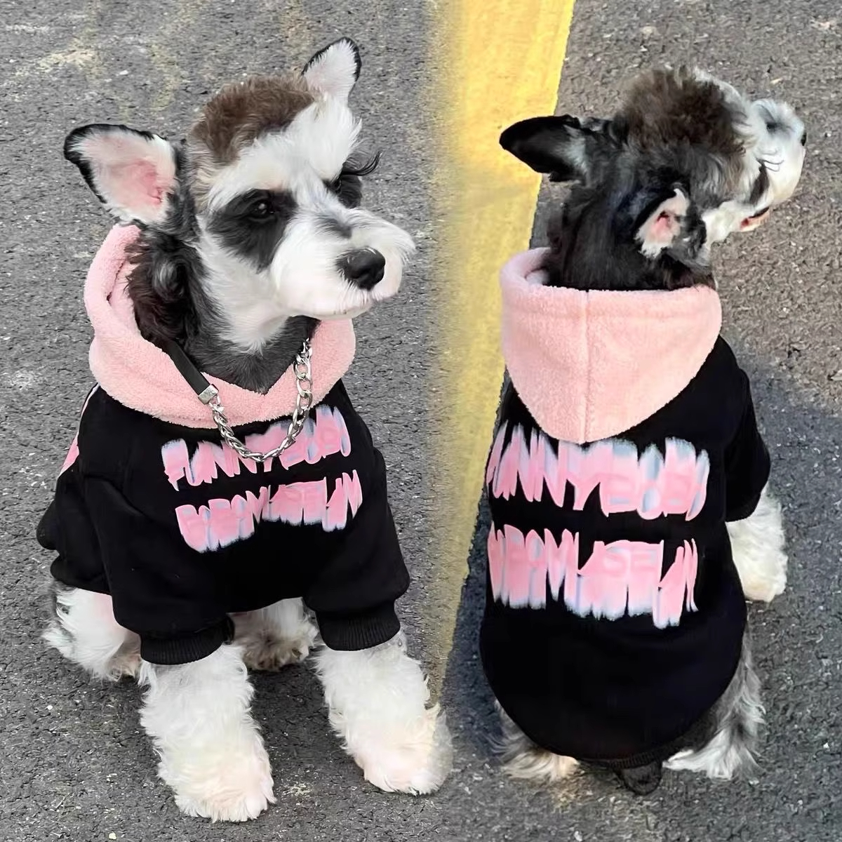 宠物猫狗衣服秋冬带帽子加绒英伦风黑身粉色连帽卫衣雪纳瑞衣服