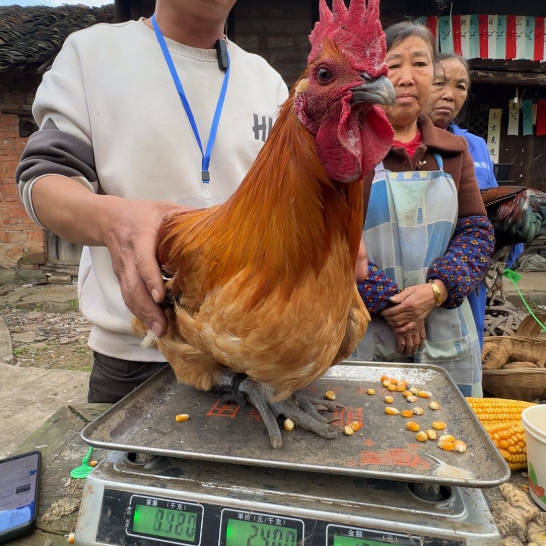 包装中国大陆039….