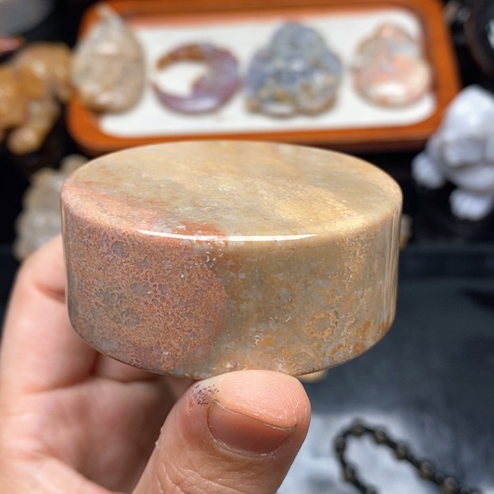 硅化珊瑚（珊瑚玉）颈饰未镶嵌