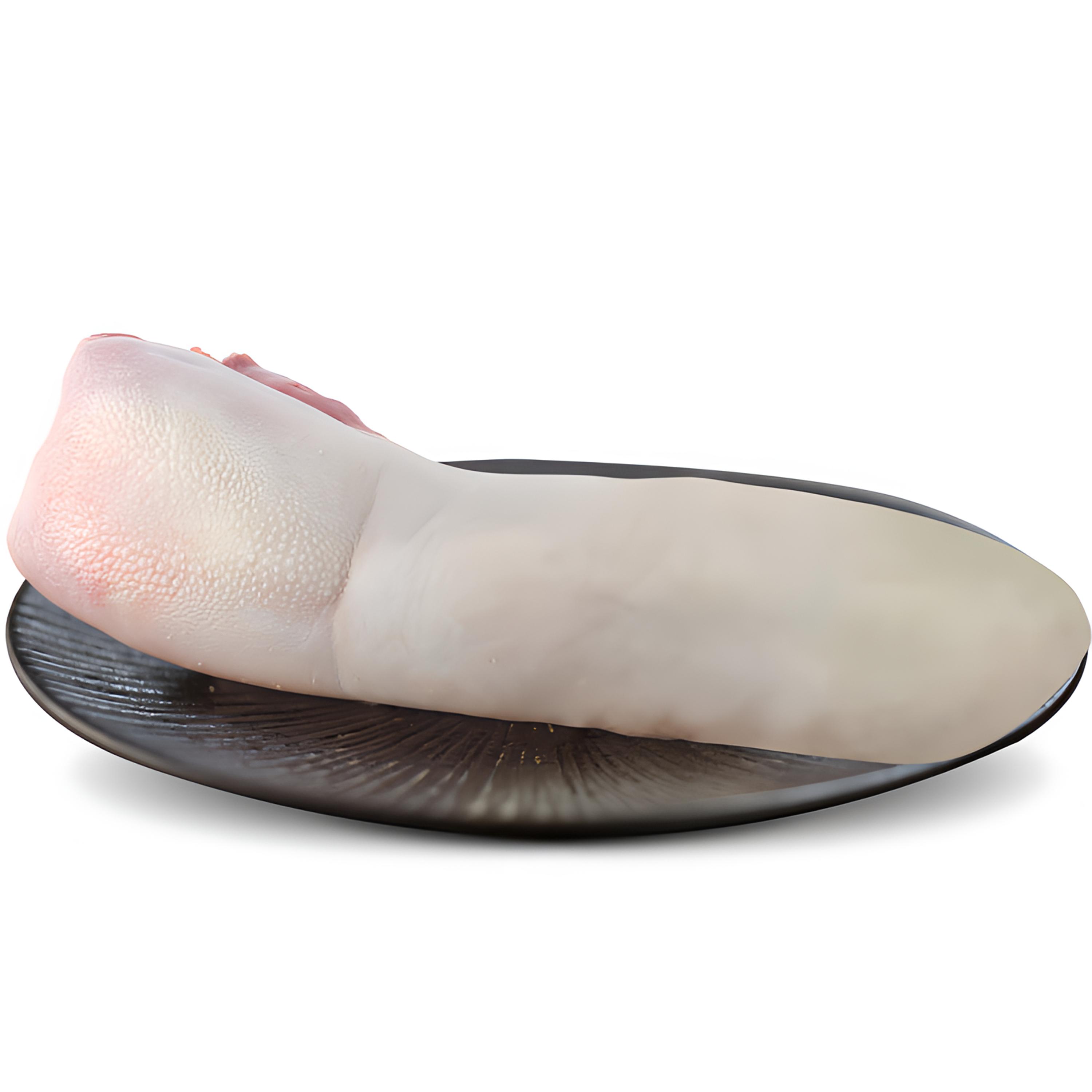 原切安格斯公牛带皮牛舌 清真 牛口条 烤涮红烧