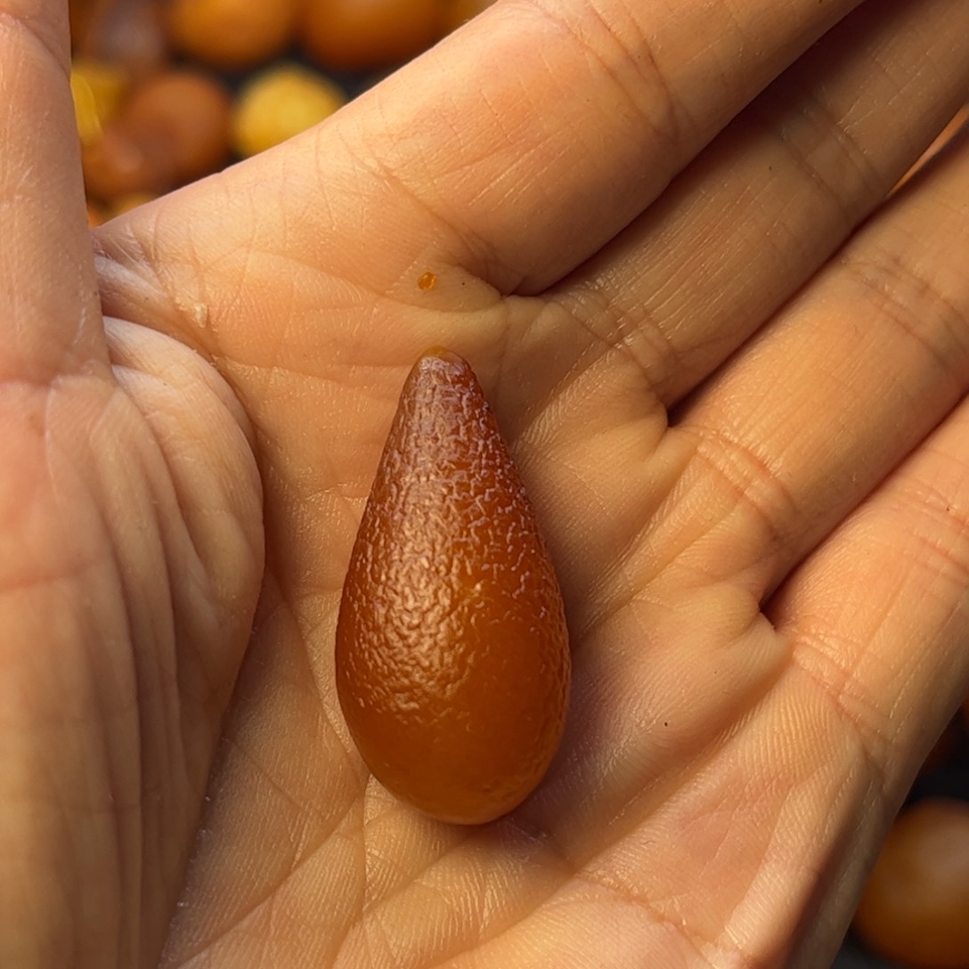 琥珀裸石未镶嵌天然蜜蜡吊坠