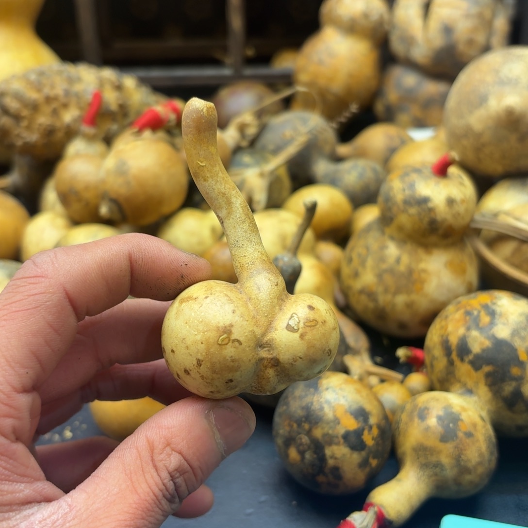 到***儿香榧木哈哈哈哈哈哈哈