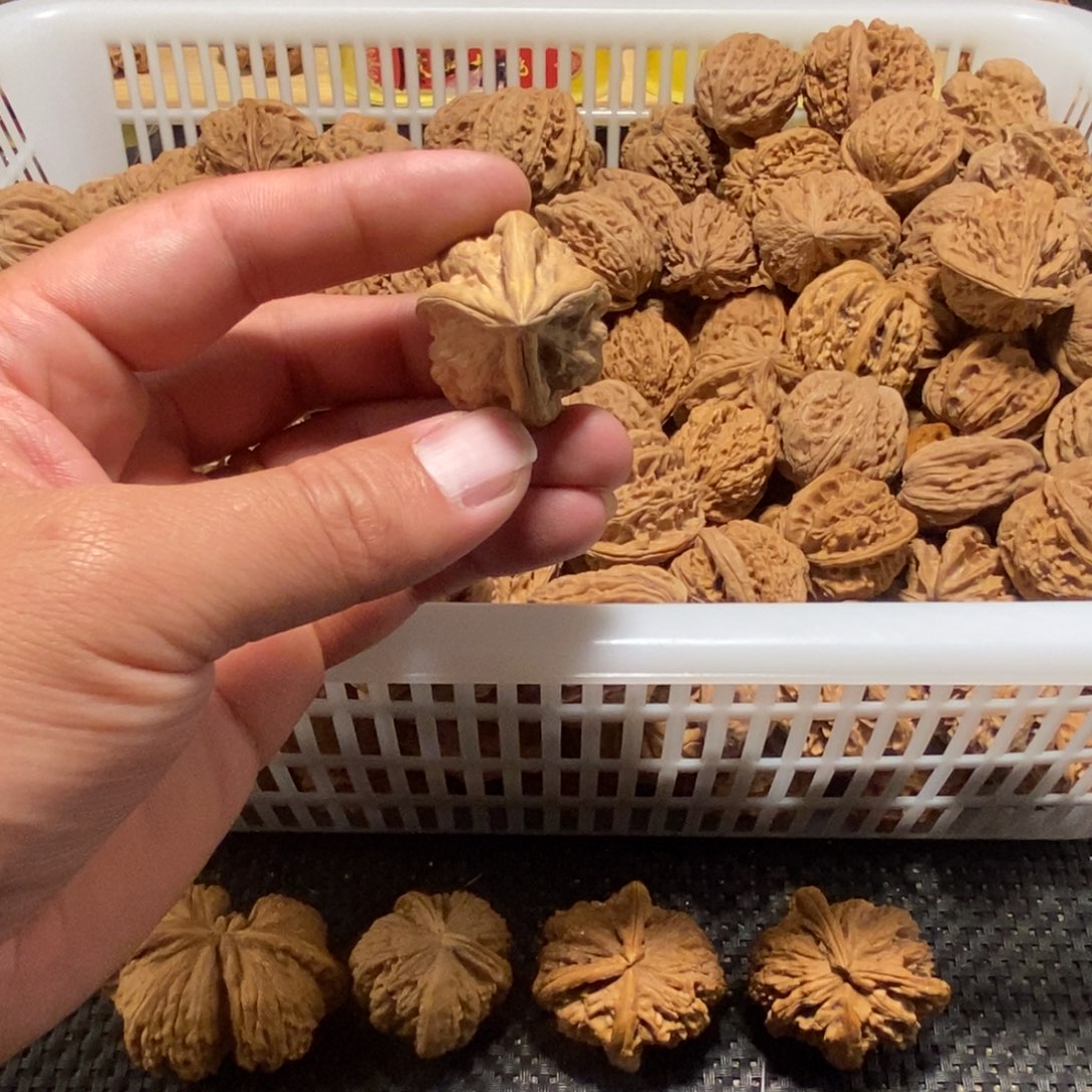 晨***曦文玩核桃吊坠核桃异形单只异形
