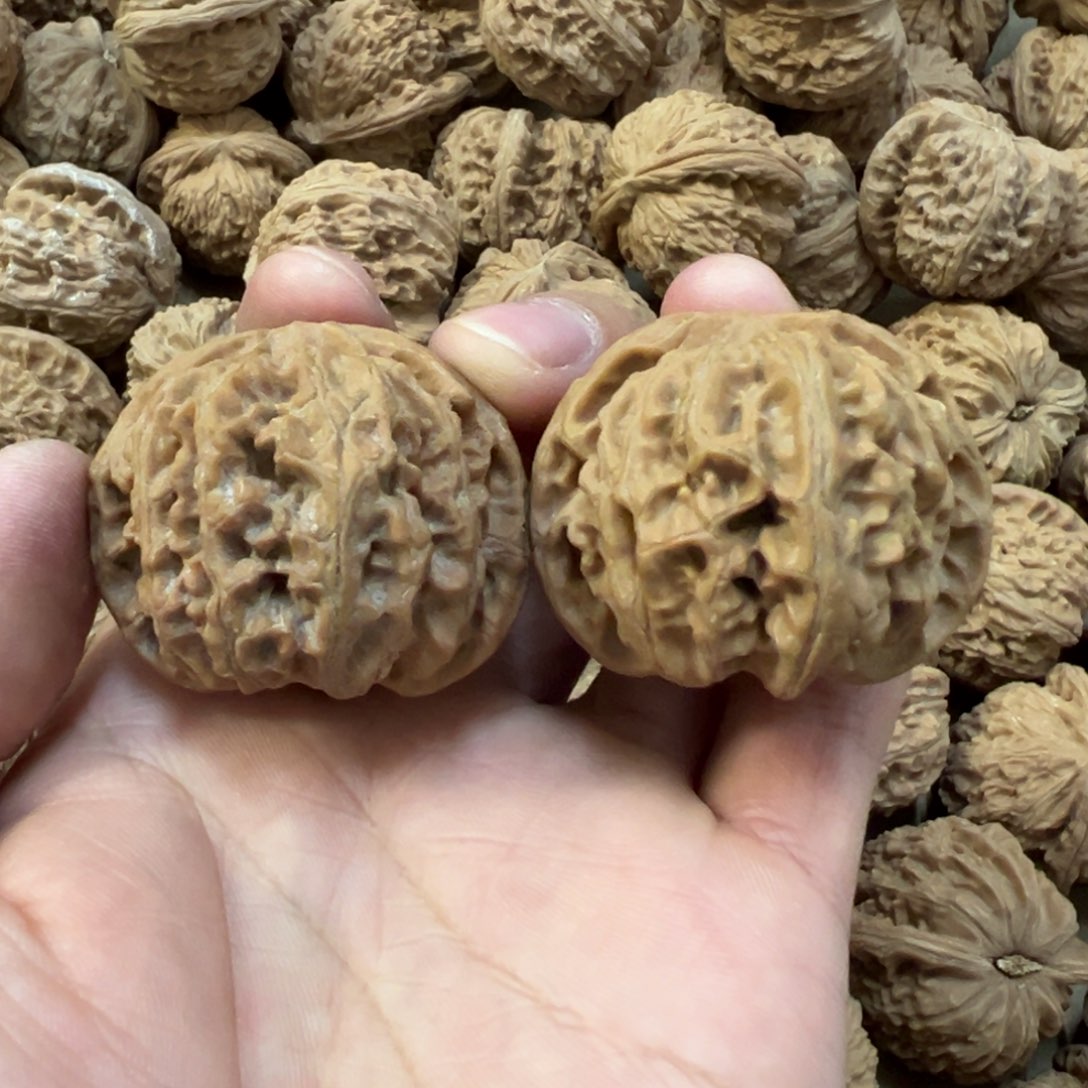 42尺苹果园全品无修