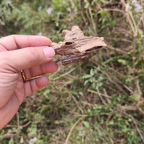 沉香沉香枕纯野天然沉香土沉