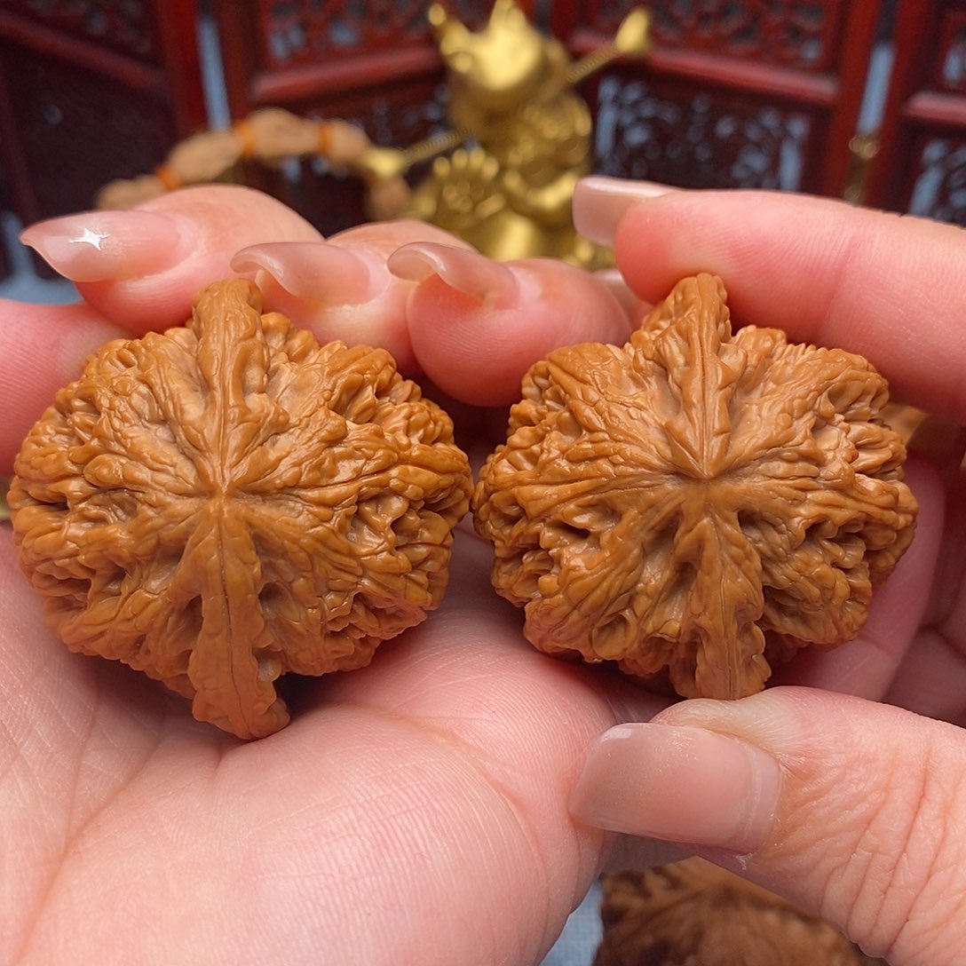 把件文玩核桃44全品毕业粗筋