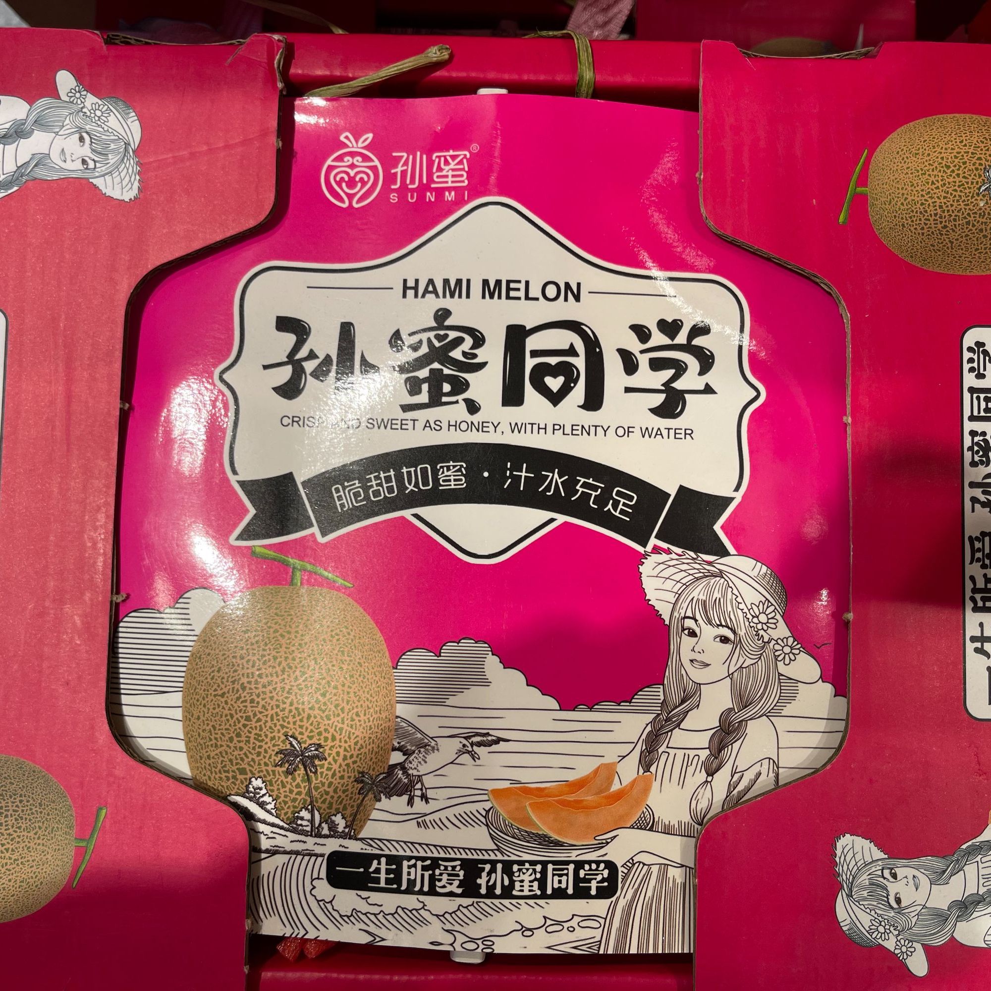 孙蜜同学网纹蜜瓜2粒手提礼盒装
