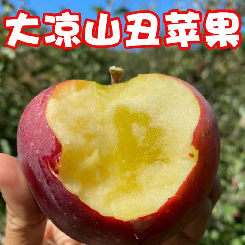 【只发海南】大凉山脆甜丑苹果整箱5斤海口发货四川省