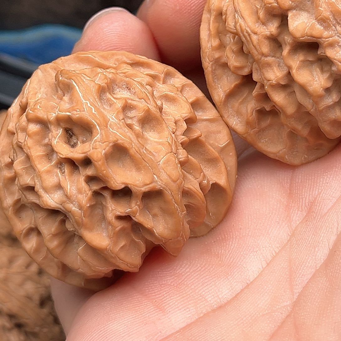 文玩核桃吊坠超****士苹果