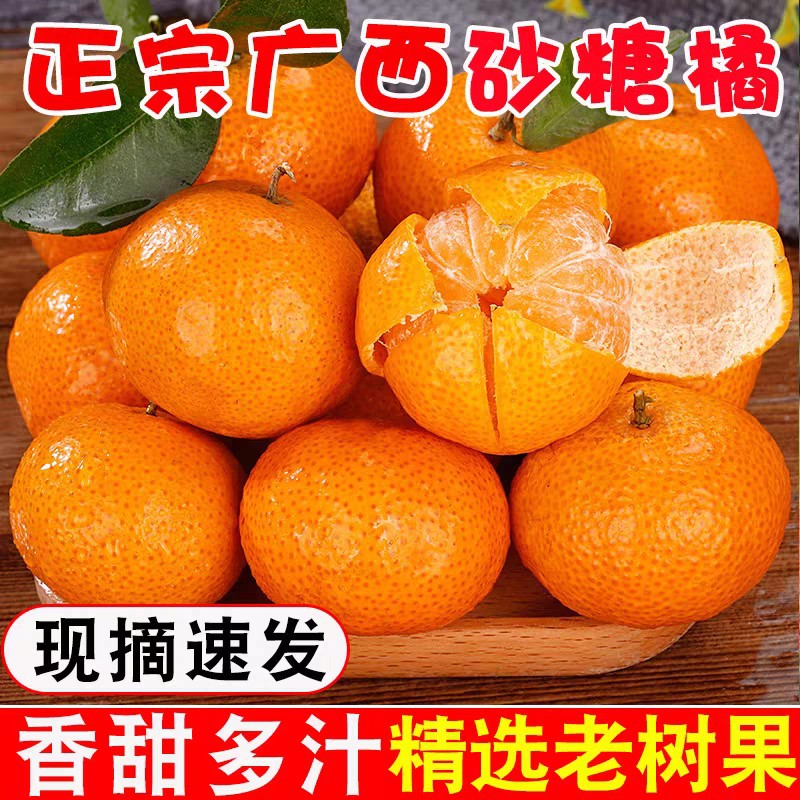 正宗砂糖蜜橘广西南宁沙糖桔当季薄皮橘子新鲜蜜桔产地直发-小雨