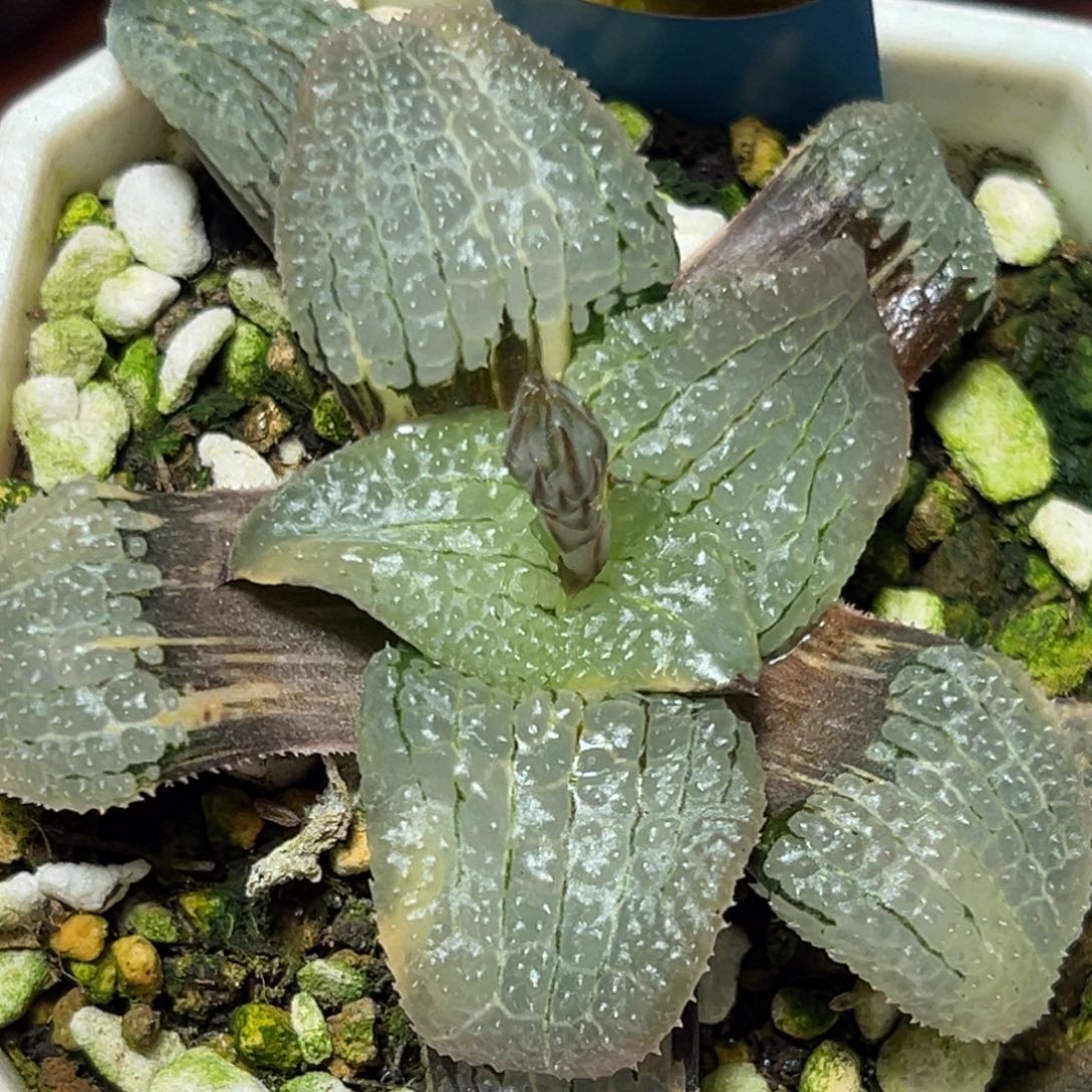 恭喜发财大吉大利945天空之镜