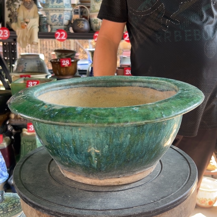 新*我们的生活是充满阳光