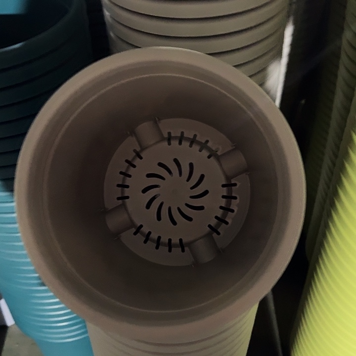 四季5号灰白无托6个特价微瑕