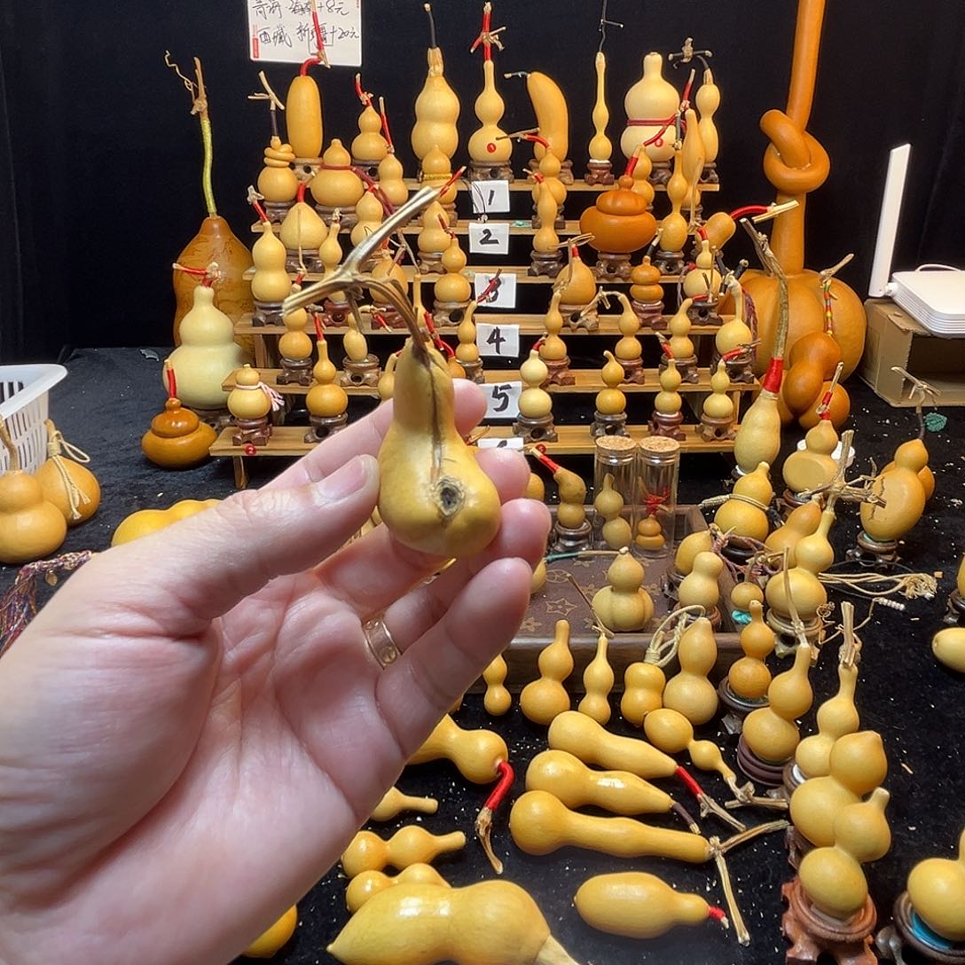 有***渔天然葫芦不退不换