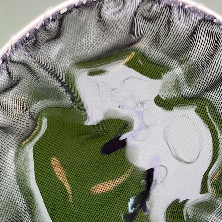 青鳉鱼编号 15 曜变天目真长鳍一对