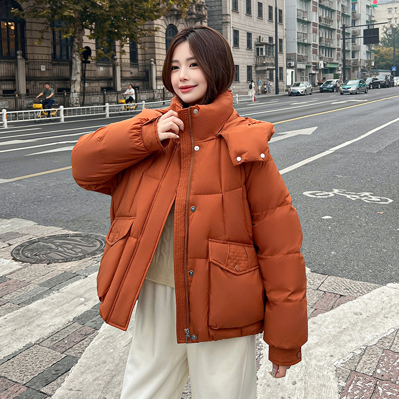 拉夏贝尔鹅绒羽绒服小个子休闲宽松连帽短款韩版时尚2501