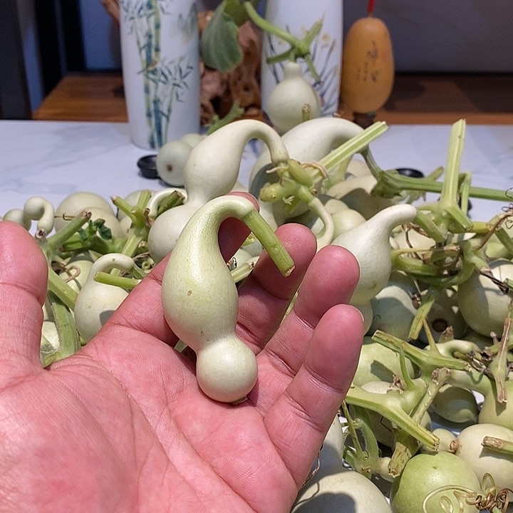 重****逼精品葫芦手把葫芦16
