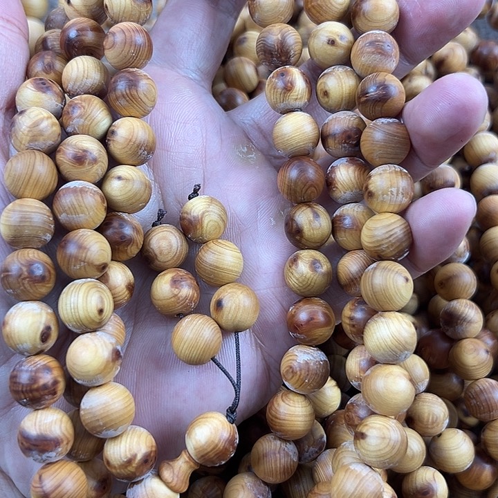 木太行崖柏1.2。。。。。。。。。