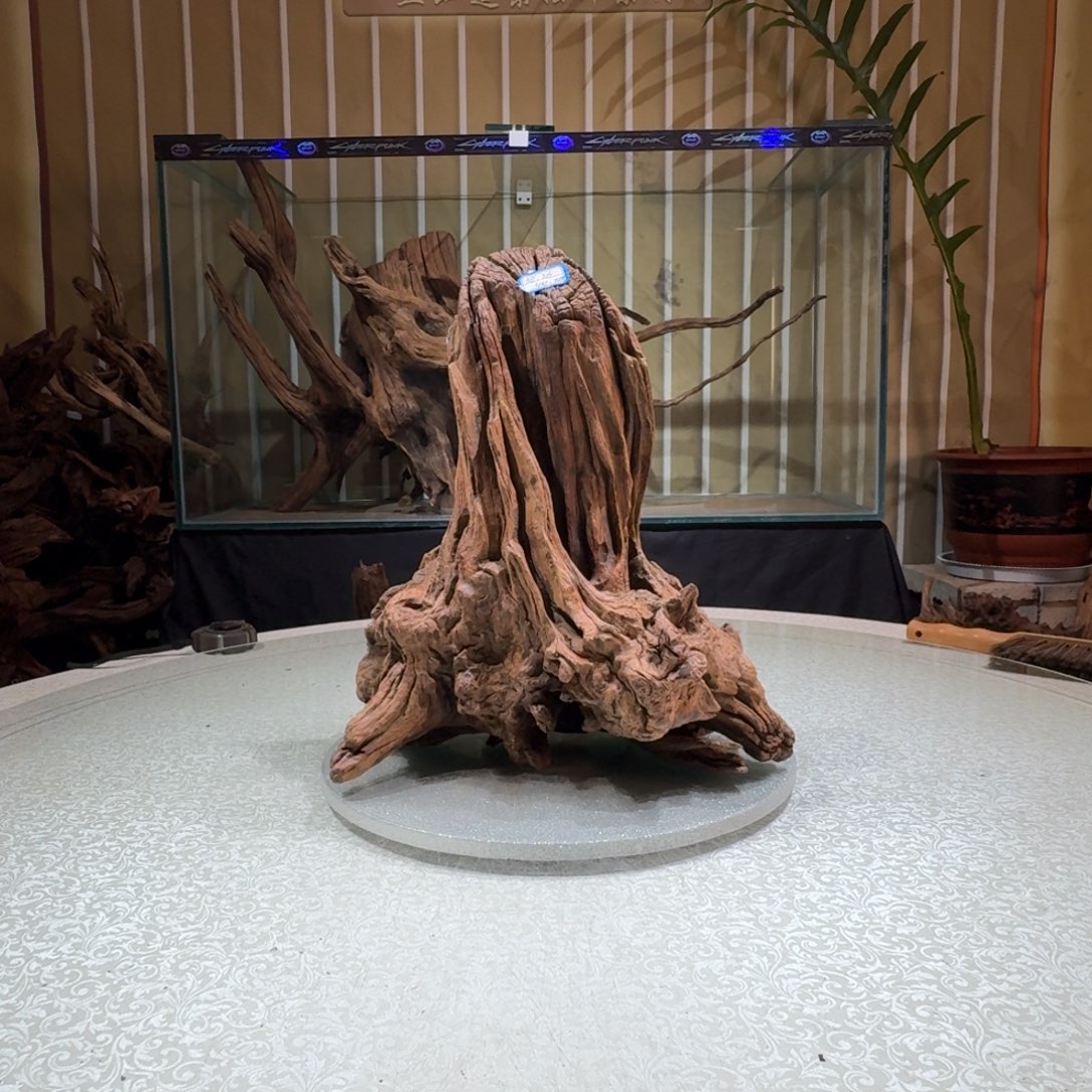 我***～一物一拍鱼缸造景