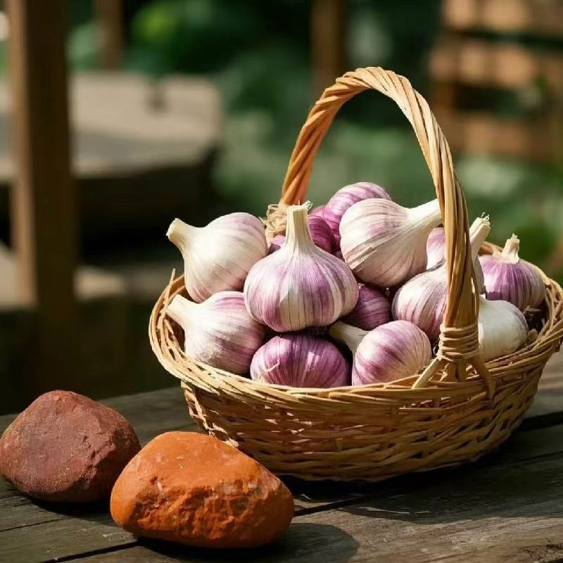 恩施高山 农家大蒜