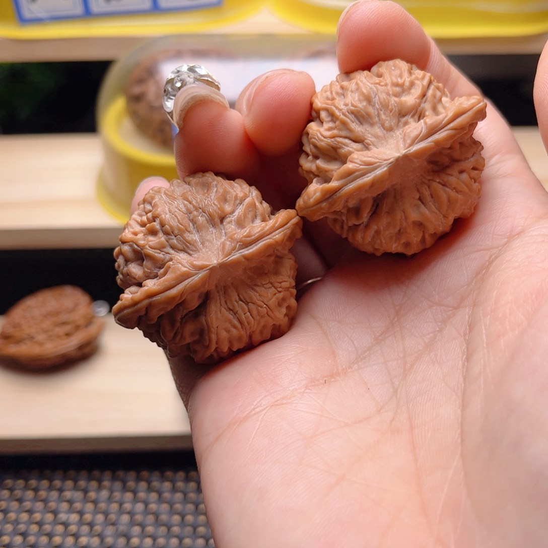 文玩核桃把件肉****系天地40