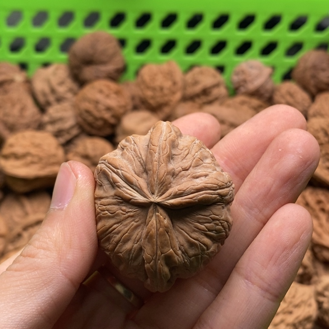 一***口文玩核桃把件定制商品不退不换