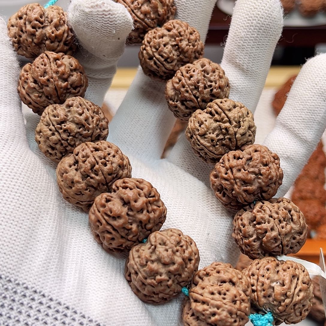 金刚菩提吊坠龙鼎梅花 宽筋深沟 原皮原色 全品无黄