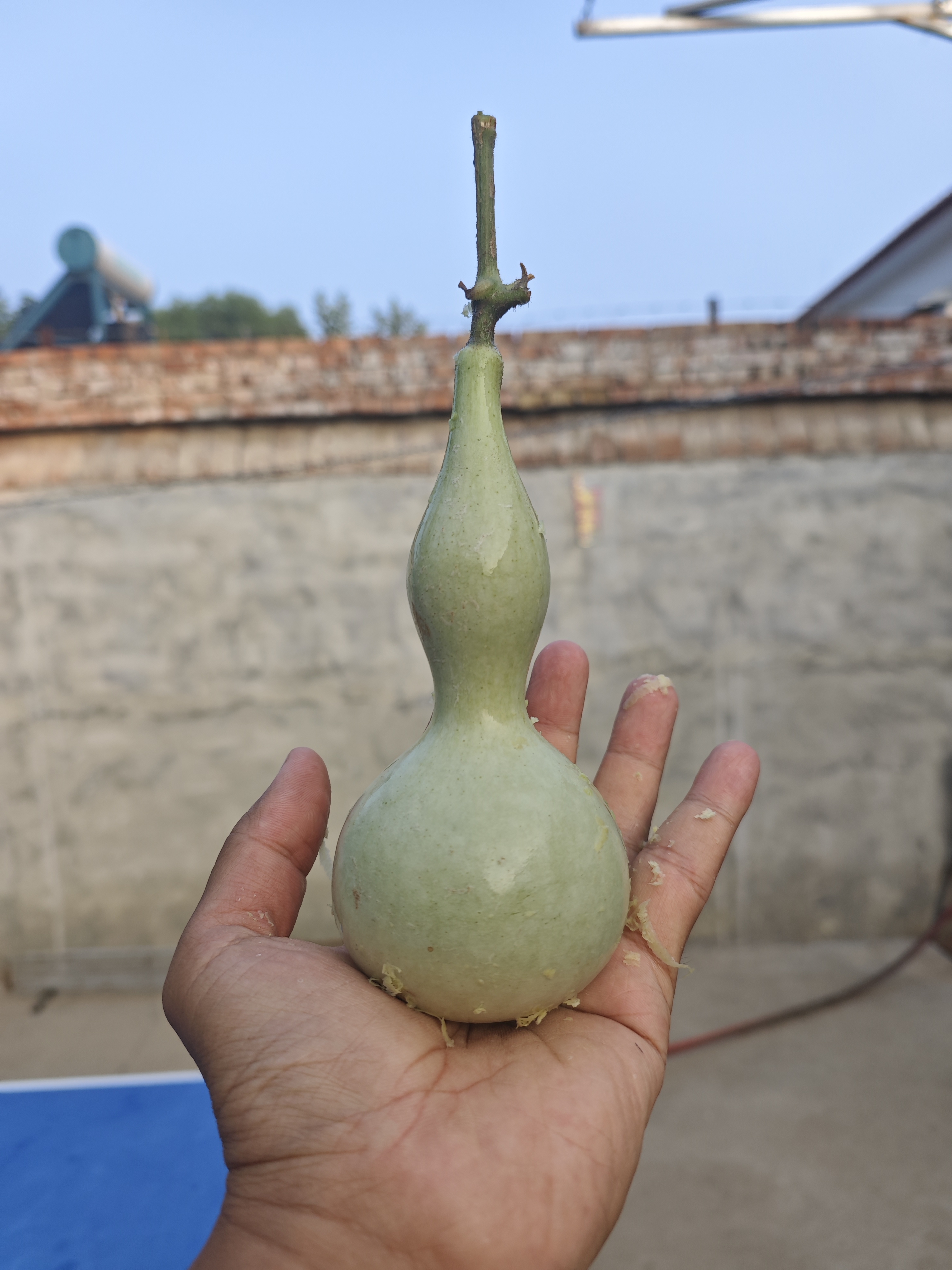 葫芦制品链接包邮