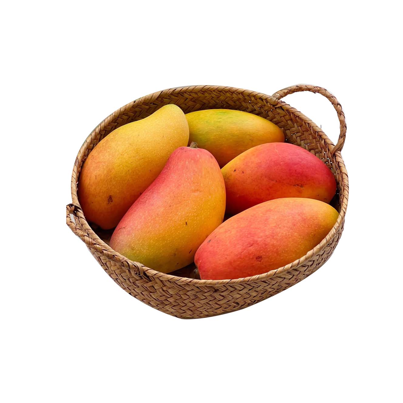 小金凤芒果1.4-1.5㎏/份（线上）