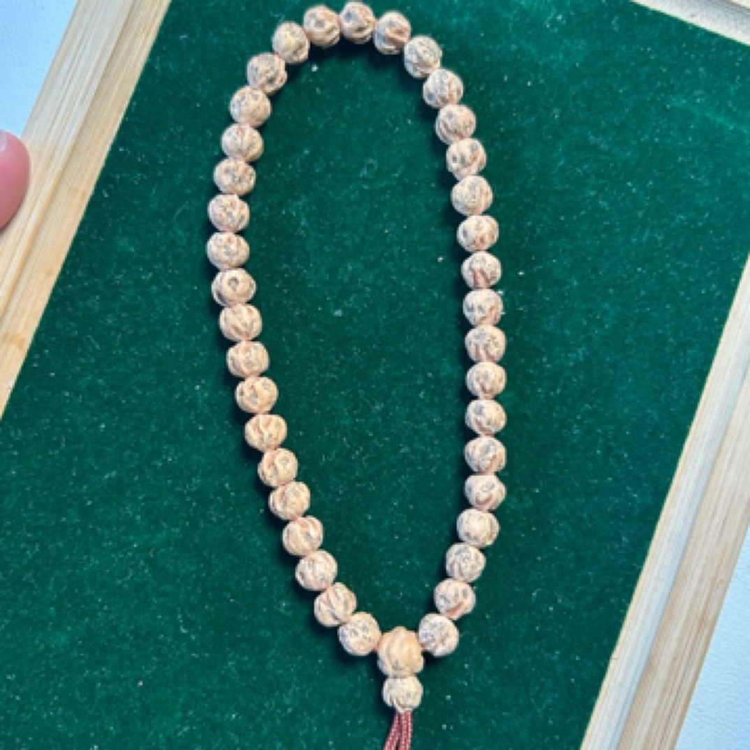 原桩鬼脸热振百香籽菩提原桩微红皮热振正常手持盘玩不红不透包退