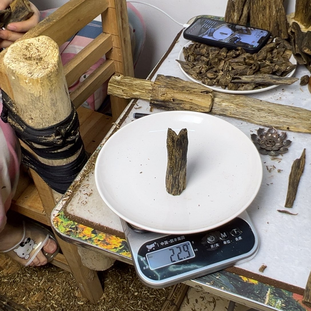 线香奇楠虫漏香22克